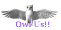 Owl us!